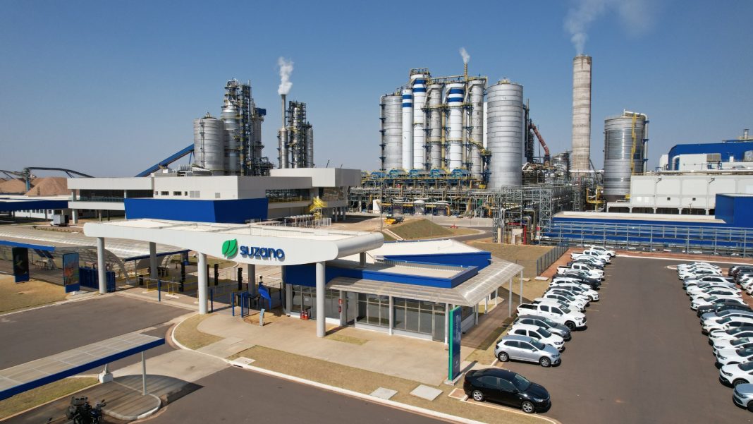 Suzano está com seis processos seletivos abertos para suas operações em Mato Grosso do Sul