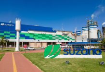 Suzano tem 62 vagas abertas entre programas de estágio e contratações efetivas em MS
