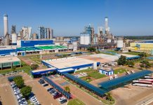 Suzano abre oito vagas de emprego para atender suas operações em Ribas do Rio Pardo e Três Lagoas (MS)