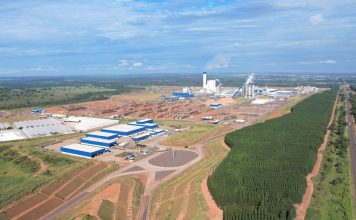 Suzano abre 10 vagas para instrutores florestais em Água Clara, Bataguassu, Ribas do Rio Pardo e Três Lagoas (MS)