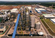 Suzano abre 10 novas oportunidades de emprego em Água Clara, Ribas do Rio Pardo e Três Lagoas (MS)